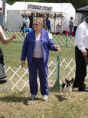 Enlarge photo 12