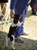 Enlarge photo 14