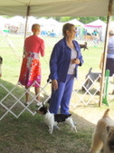 Enlarge photo 16