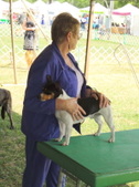 Enlarge photo 23