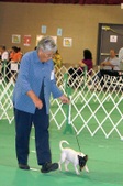 Enlarge photo 14
