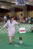 Enlarge photo 17
