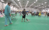 Enlarge photo 24