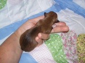 Enlarge photo 1