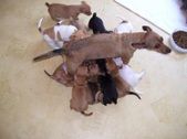 Enlarge photo 7
