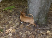 Enlarge photo 15