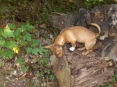 Enlarge photo 21