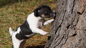 Enlarge photo 44