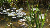 Enlarge photo 36