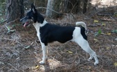 Enlarge photo 47