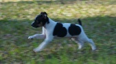 Enlarge photo 22