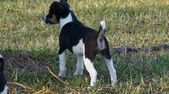 Enlarge photo 32