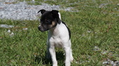 Enlarge photo 37