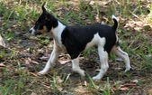 Enlarge photo 24