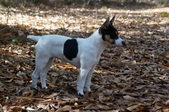 Enlarge photo 26