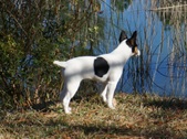 Enlarge photo 28