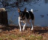 Enlarge photo 11