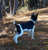 Enlarge photo 32