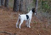 Enlarge photo 23