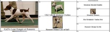 Enlarge photo 43