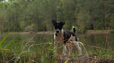 Enlarge photo 22
