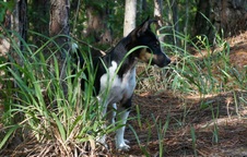 Enlarge photo 9