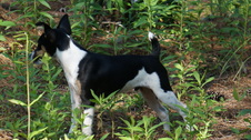 Enlarge photo 4