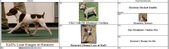 Enlarge photo 46