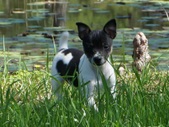 Enlarge photo 19