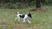 Enlarge photo 26
