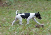 Enlarge photo 27