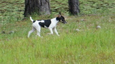 Enlarge photo 35
