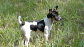 Enlarge photo 13