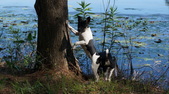 Enlarge photo 11