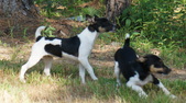 Enlarge photo 39