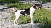 Enlarge photo 41