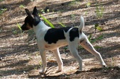 Enlarge photo 38