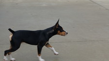 Enlarge photo 15
