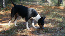 Enlarge photo 15