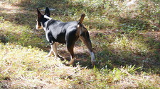 Enlarge photo 19