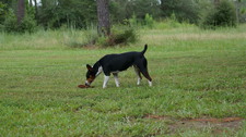 Enlarge photo 7