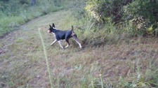 Enlarge photo 12