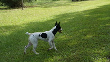 Enlarge photo 5
