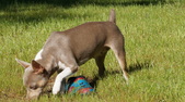 Enlarge photo 13