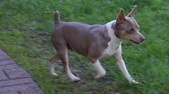 Enlarge photo 14