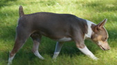 Enlarge photo 18