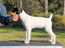 Enlarge photo 36