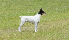 Enlarge photo 52