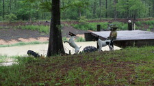 Enlarge photo 57