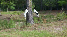Enlarge photo 55